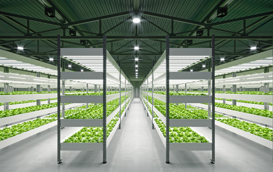 й÷4688am(ɷ)޹˾-ٷվ