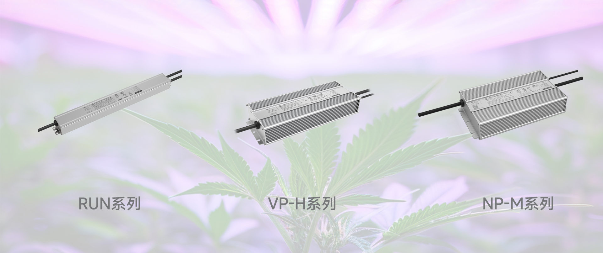 й÷4688am(ɷ)޹˾-ٷվ